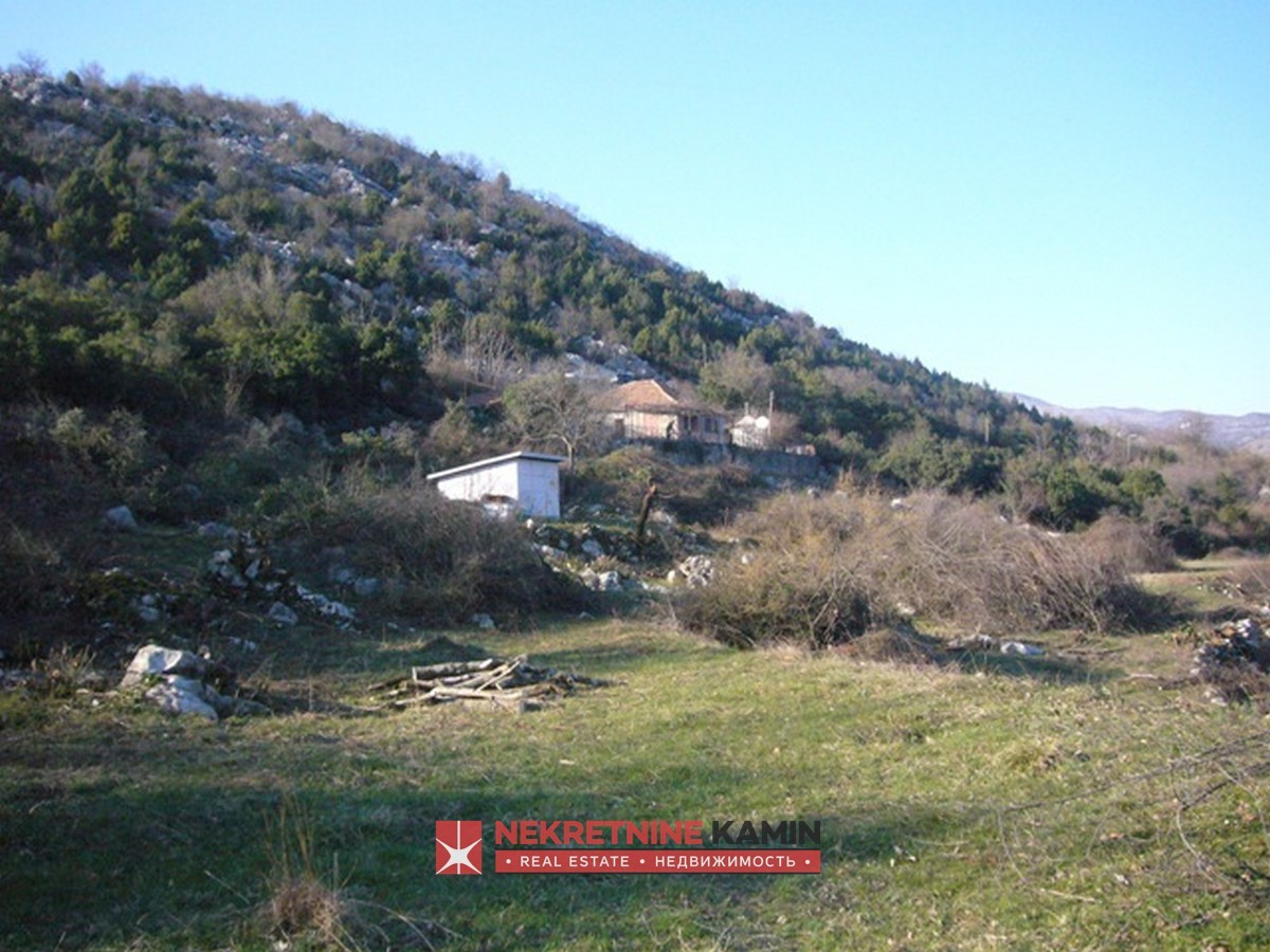 Plot with Two Old Houses and Over 1,000 Vines, Drušići, Cetinje